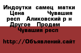 Индоутки 1самец 2матки › Цена ­ 1 000 - Чувашия респ., Аликовский р-н Другое » Продам   . Чувашия респ.